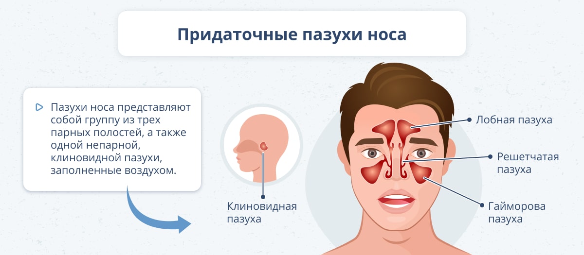 1. ⁣Снить
2. ⁤Полис
3. Чему
4. Что